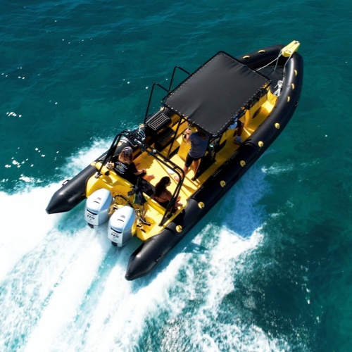 Sightseeing and Tourism Passenger RIB Boat