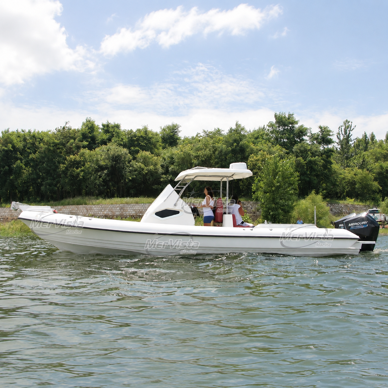 2025 New Luxury RIB 30ft RIB 940 large cabin boat with Garmin GPS options